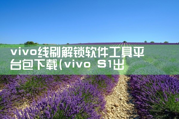 vivo线刷解锁软件工具平台包下载