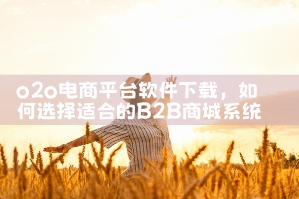 o2o电商平台软件下载