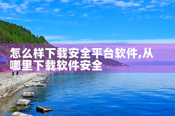 怎么样下载安全平台软件